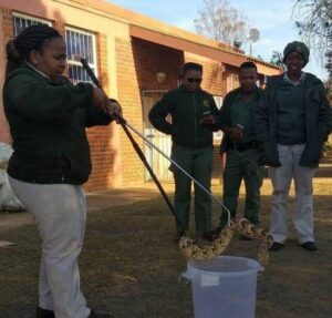 snake handling course