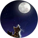 Gigi Njisane profile picture